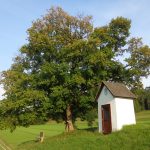 Kapelle bei Waidmannsfeld