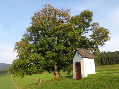 Kapelle bei Waidmannsfeld