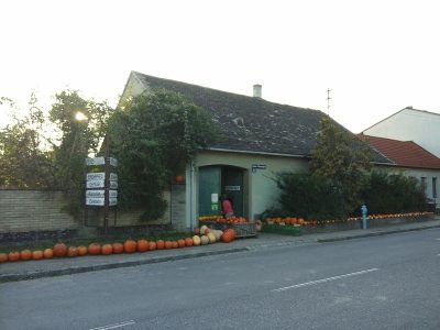 Kürbisse im Alten Dorf