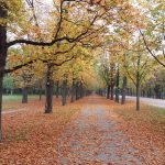 Prater Hauptallee