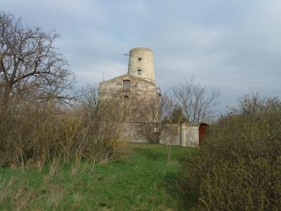 Ruine Markgrafneusiedl