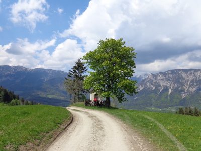 Stoijer Höhe