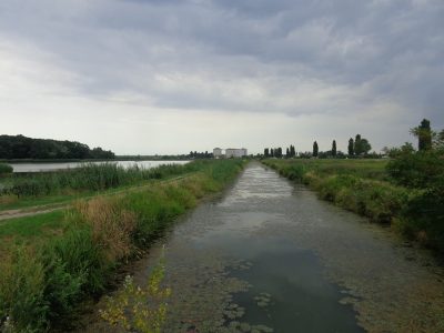 Vogelschutzgebiet Hohenau