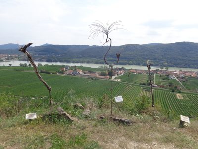 Weinskulpturen