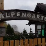Alpengarten auf der Rax