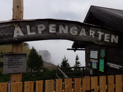 Alpengarten auf der Rax