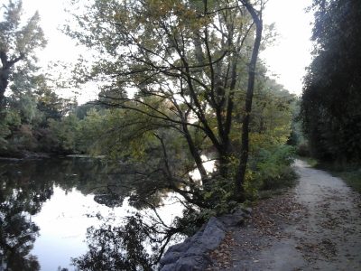 Am Unteren Heustadlwasser