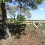 Bunkeranlage im Park Hirschstetten