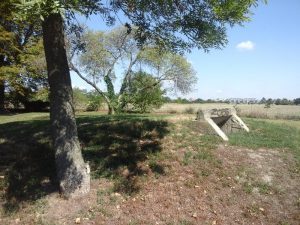 Bunkeranlage im Park Hirschstetten