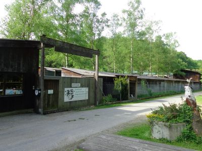 Greifvogel Zuchtstation Hagenbachklamm