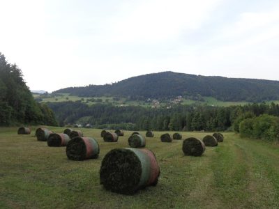 Heuballen bei Waidmannsfeld