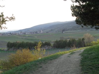 Wasserleitungsweg Gumpoldskirchen