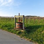 Weinpresse bei Guntramsdorf