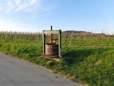 Weinpresse bei Guntramsdorf