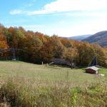 Hohe Wand Wiese