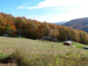 Hohe Wand Wiese