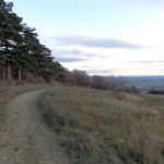 Wandern am Eichkogel