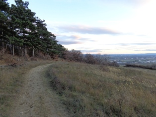 Wandern am Eichkogel