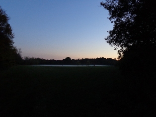 Abendnebel in der Lobau