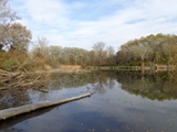 Altarm in der Lobau