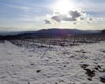 Ausblick auf den Kahlenberg