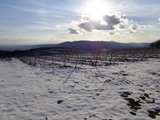 Ausblick auf den Kahlenberg