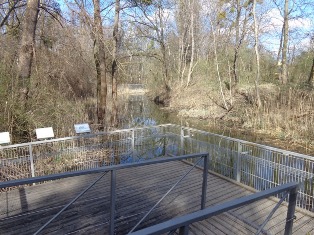 Bibergehege in der Lobau