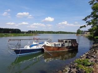 Donauufer bei Kahlenbergdorf