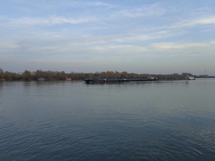 Frachtschiff auf der Donau