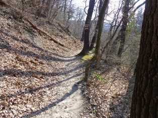 Naturpark Eichenhain