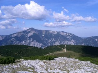 Schneebergblick vom Jakobskogel