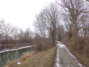 Spazierweg am Marchfeldkanal
