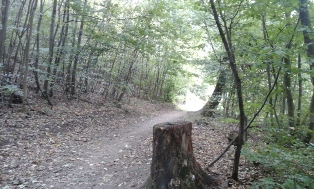 Stadtwanderweg Kahlenberg