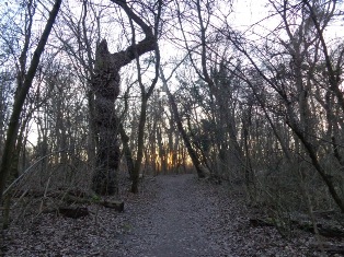 Stadtwanderweg am Mauthnerwasser