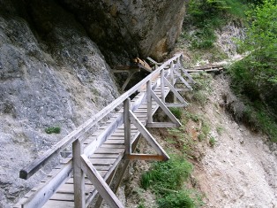 Steig durch die Almbachklamm