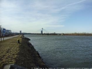 Treppelweg an der Donau