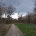 Wandern in der Lobau