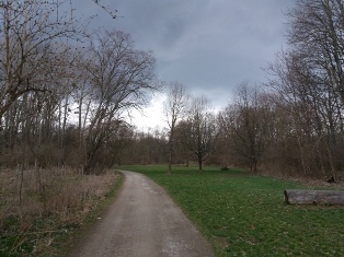 Wandern in der Lobau