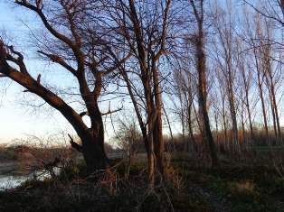 Wanderweg Simmeringer Lände