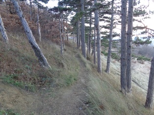 Wanderweg um den Eichkogel