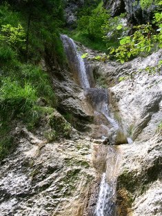 Wasserfall in der Almbachklamm