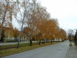 Dorfstraße Seyring