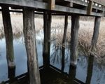 Holzsteg am Naturlehrpfad