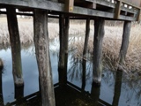 Holzsteg am Naturlehrpfad