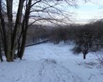 Rodelbahn beim Cobenzl