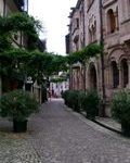 Freiburger Altstadt