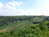 Weinberge am Nussberg