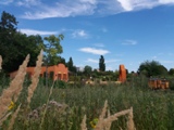 Blumen am Mexikanischen Garten