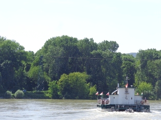Donau Rollfähre