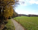 Wanderweg bei der Mostalm